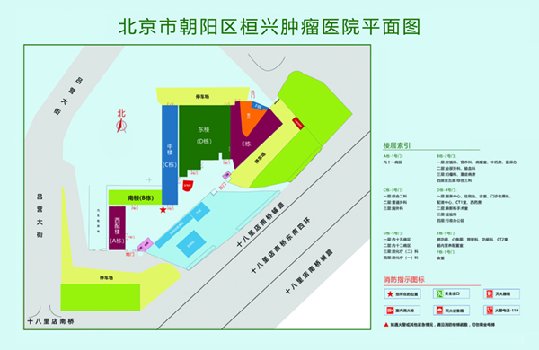 我要看日逼视频北京市朝阳区桓兴肿瘤医院平面图